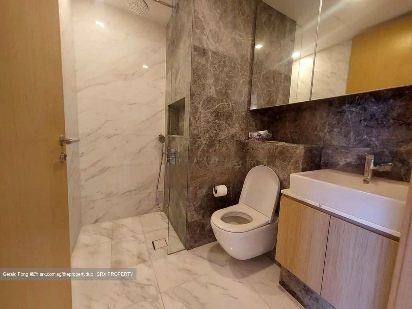 The Peak @ Cairnhill II (D9), Apartment #460605321
